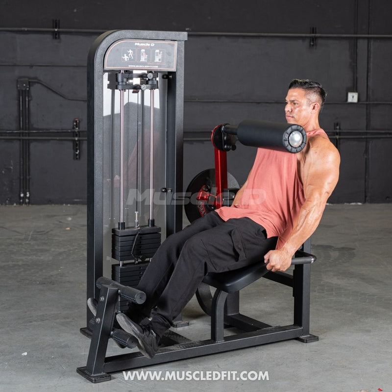 Classic V2 Selectorized Back / Ab Combo by Muscle D Fitness - Dual Function Core Machine