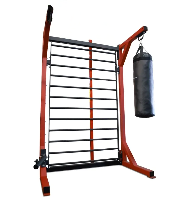 Universal Multi-Purpose Gym Storage Rack